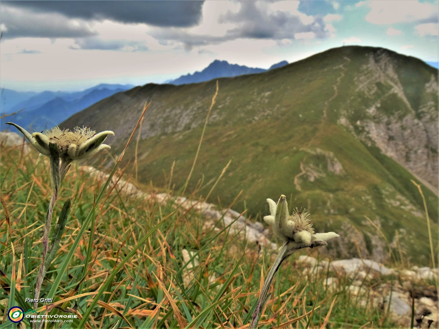 51 Scendendo da Cima Foppazzi su ripido sentierino con vista sul sentiero di  salita a Cima Grem .JPG